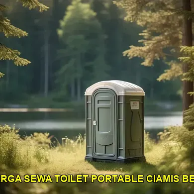 daftar harga sewa toilet portable ciamis berkualitas